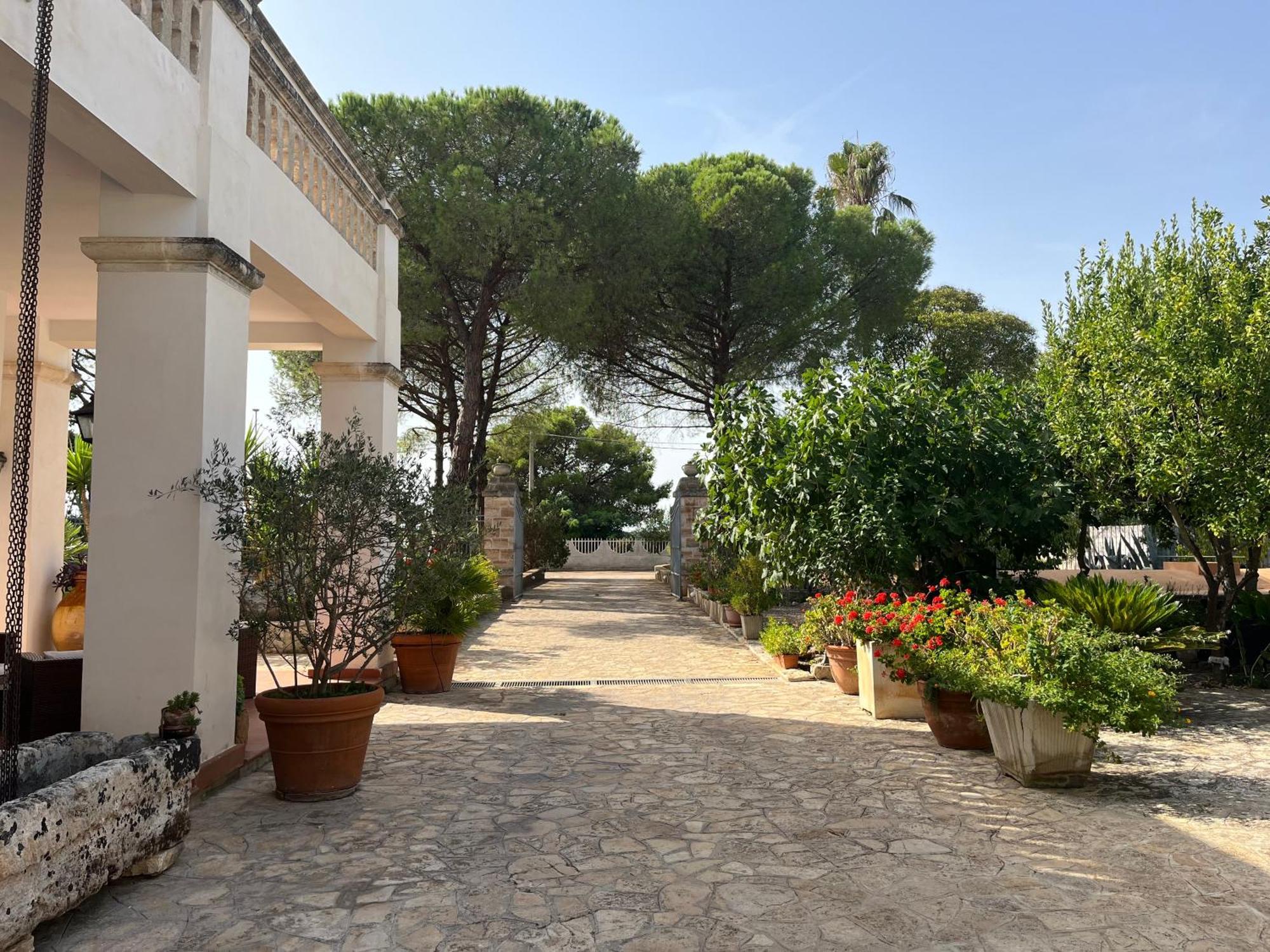 Masseria La Camardia Sava Eksteriør bilde