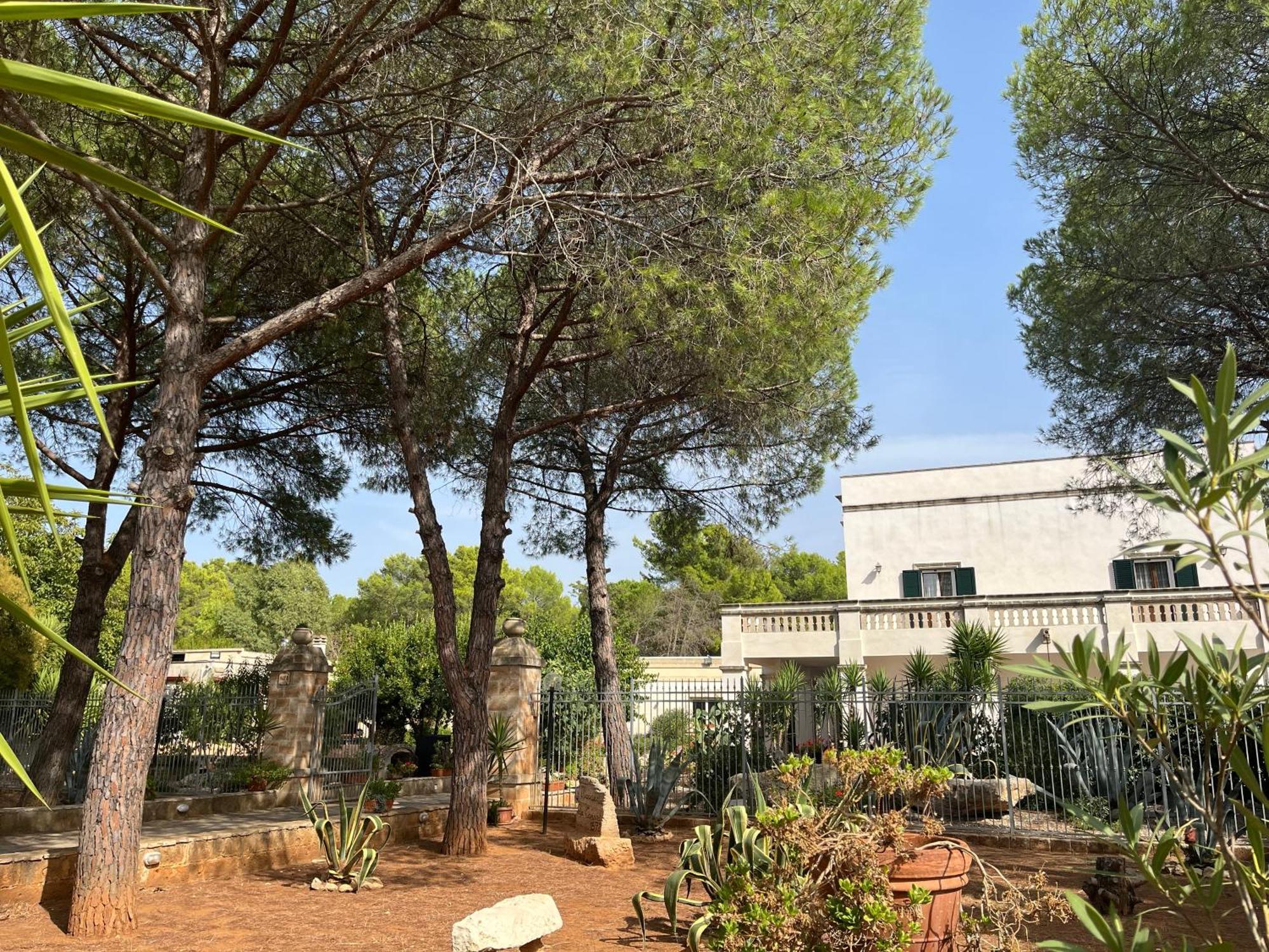 Masseria La Camardia Sava Eksteriør bilde