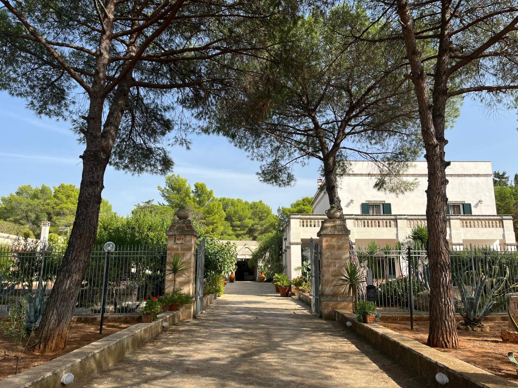 Masseria La Camardia Sava Eksteriør bilde