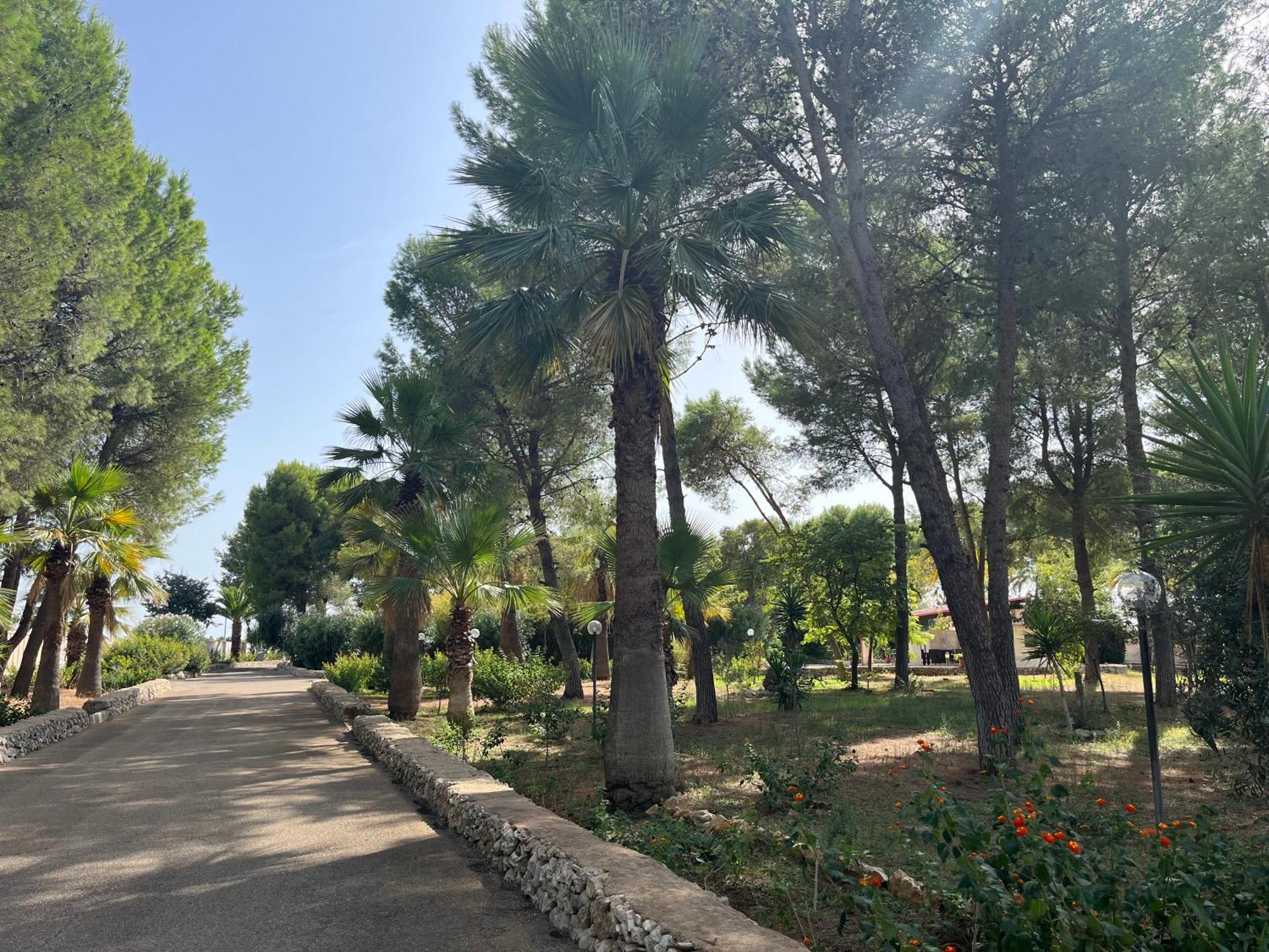 Masseria La Camardia Sava Eksteriør bilde