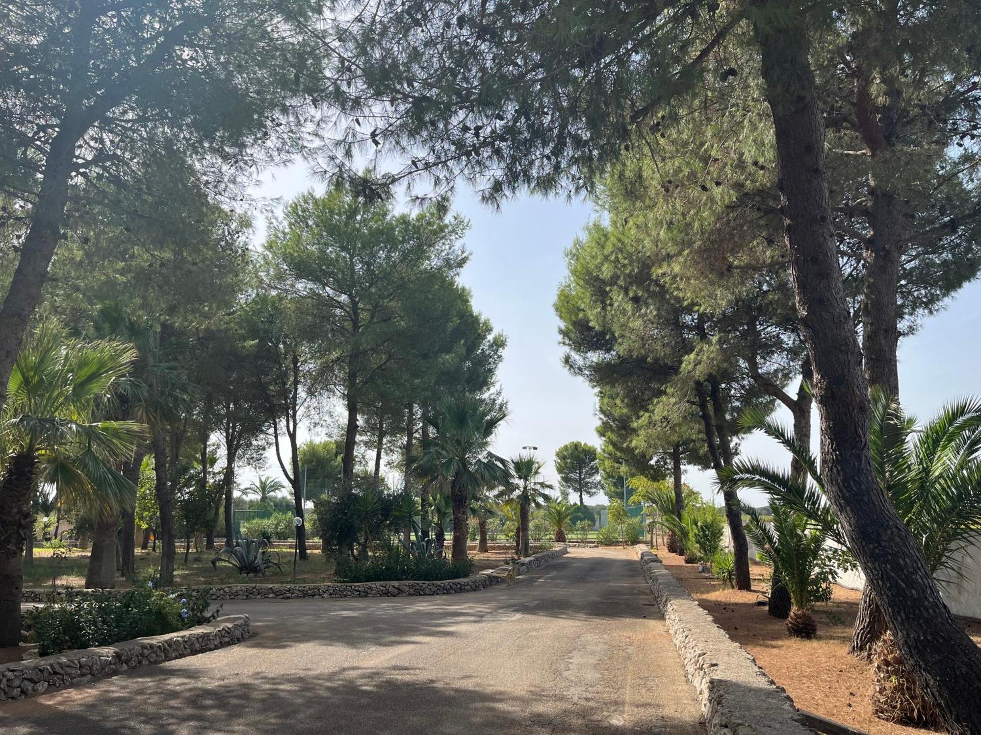 Masseria La Camardia Sava Eksteriør bilde