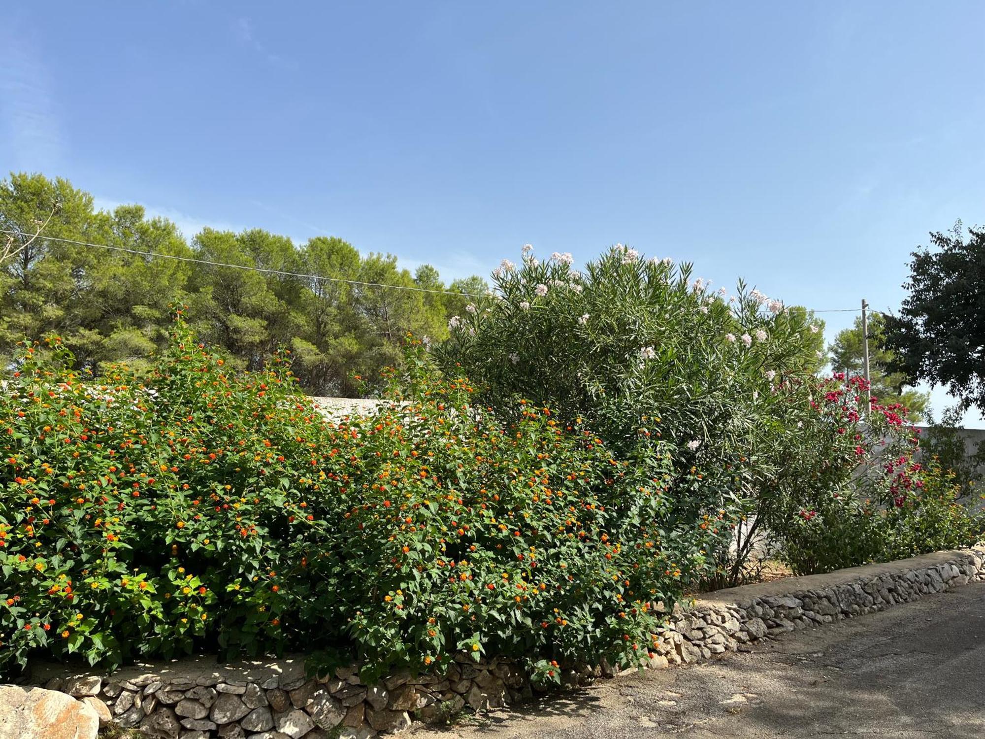 Masseria La Camardia Sava Eksteriør bilde