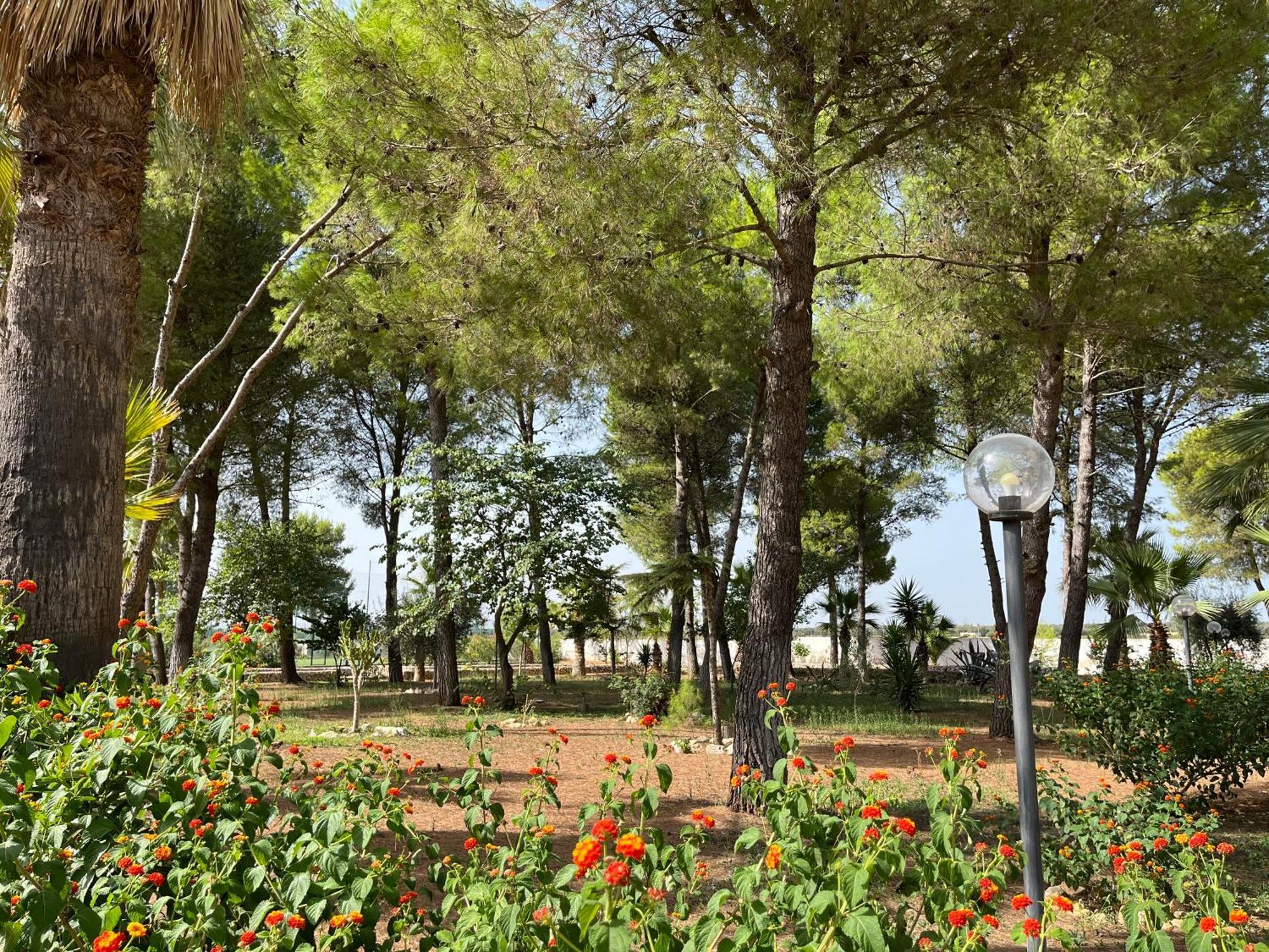 Masseria La Camardia Sava Eksteriør bilde