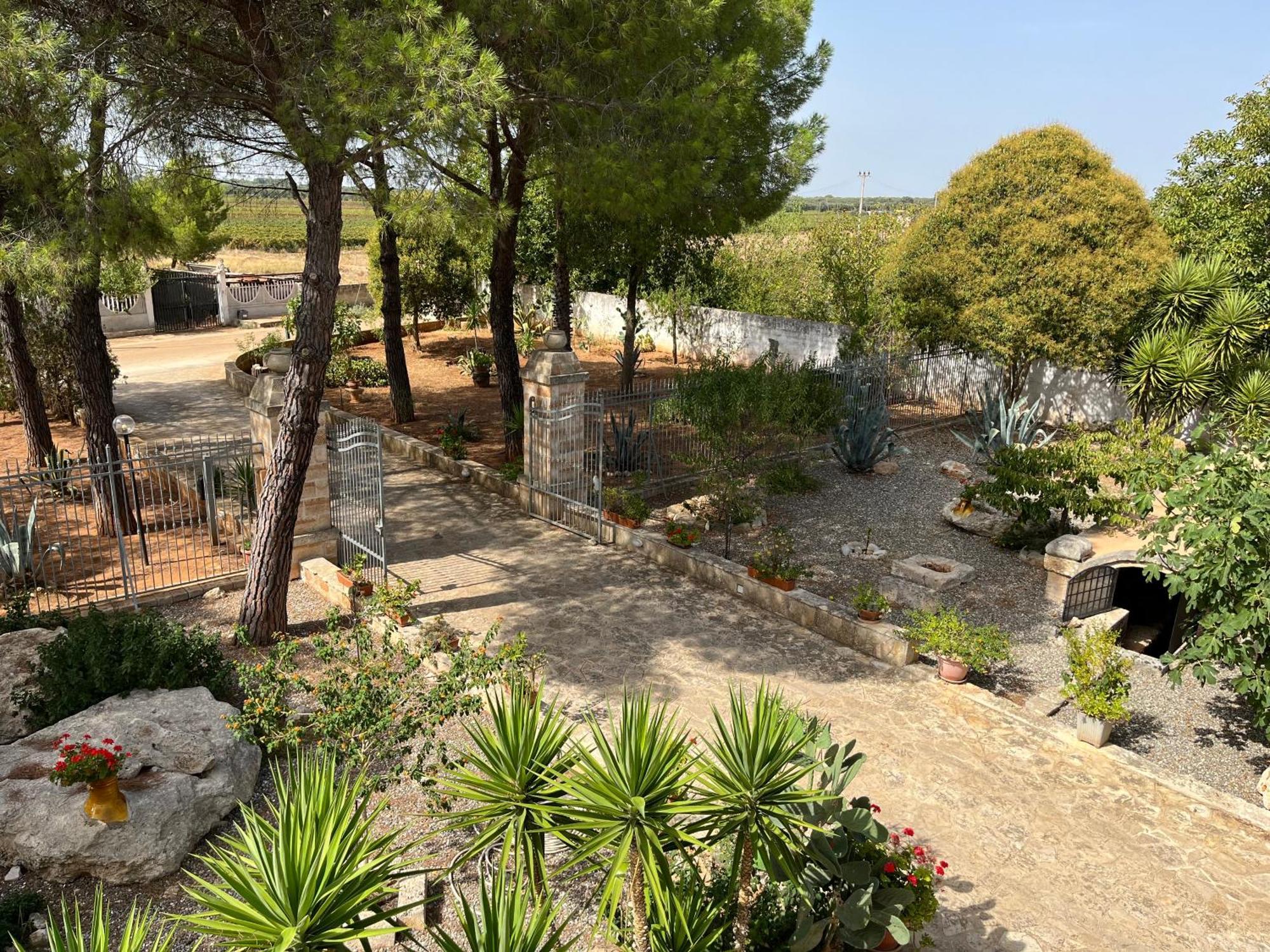 Masseria La Camardia Sava Eksteriør bilde