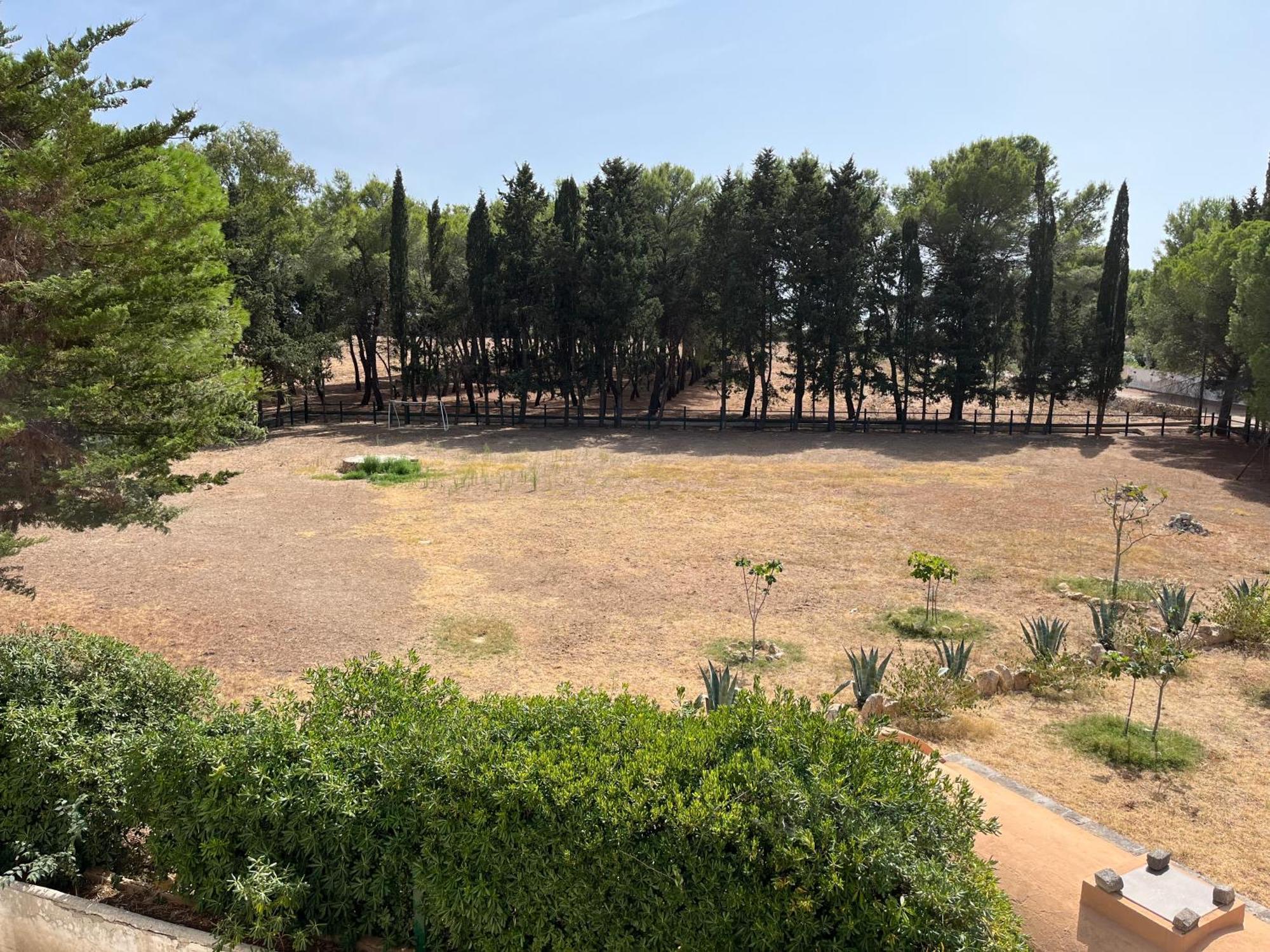 Masseria La Camardia Sava Eksteriør bilde