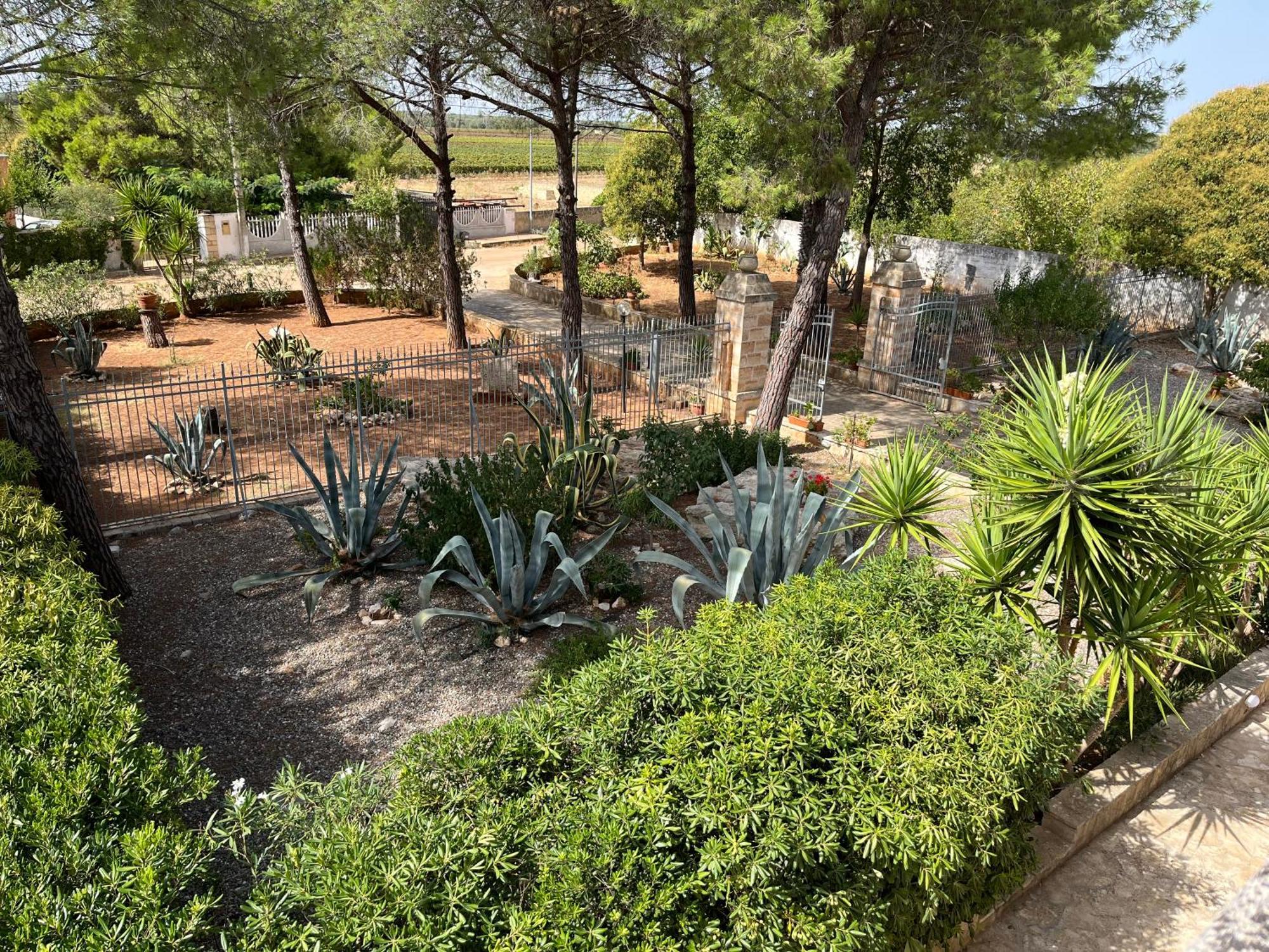 Masseria La Camardia Sava Eksteriør bilde